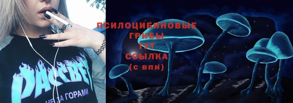 PSILOCYBIN Бронницы