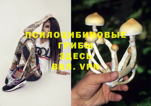 гашиш Бородино